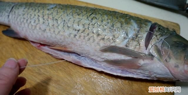 五香熏鱼怎么做好吃又简单,上海熏鱼五香熏鱼