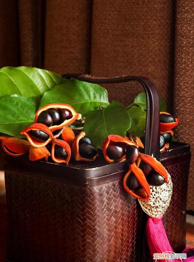 红豆富贵子糖水 富贵子糖水做法