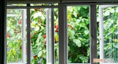 红豆富贵子糖水 富贵子糖水做法