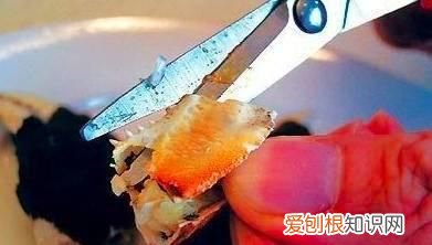 买螃蟹要怎么挑才会饱满