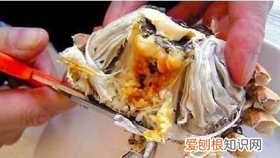 买螃蟹要怎么挑才会饱满