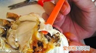 买螃蟹要怎么挑才会饱满