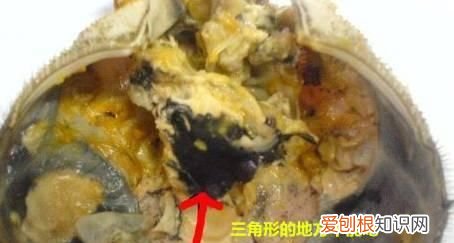 买螃蟹要怎么挑才会饱满