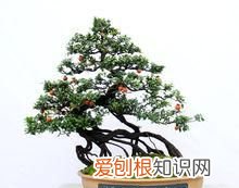 那山那水那人那景