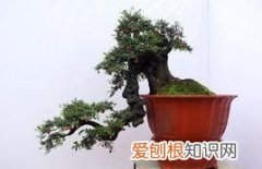 那山那水那人那景