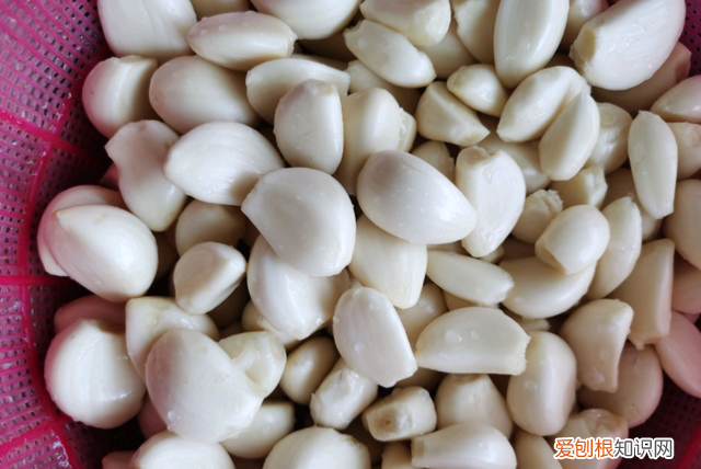 怎样泡腊八蒜又绿又脆窍门,泡腊八蒜用什么醋好吃