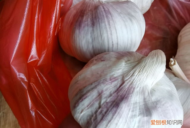 怎样泡腊八蒜又绿又脆窍门,泡腊八蒜用什么醋好吃