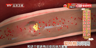 西红柿生吃皮还是心最有营养 西红柿生吃怎么吃营养最好