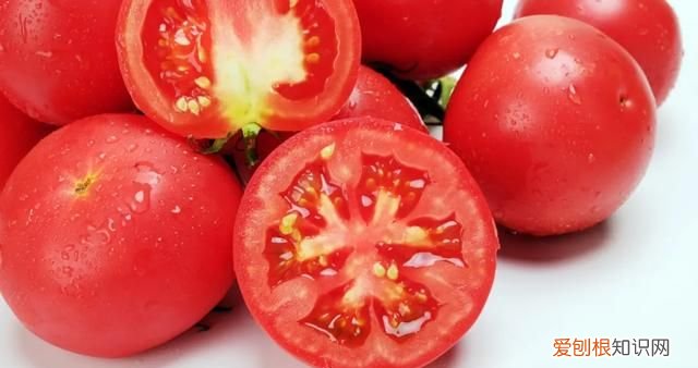 西红柿生吃皮还是心最有营养 西红柿生吃怎么吃营养最好