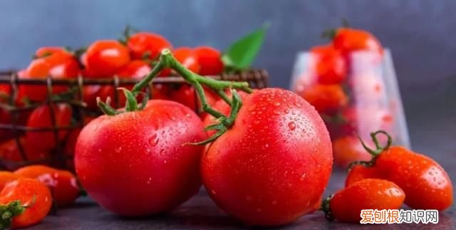 西红柿生吃皮还是心最有营养 西红柿生吃怎么吃营养最好