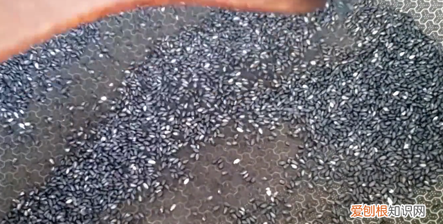 不用油怎么可以把花生炒脆又不糊