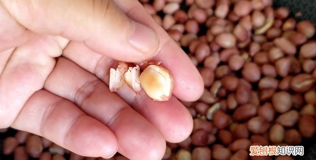 不用油怎么可以把花生炒脆又不糊