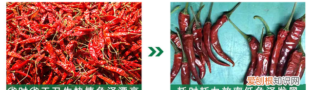 辣椒干燥方法及干燥工艺介绍图片