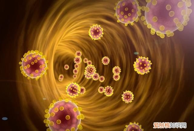 吃葡萄肚子胀气为什么,肚子胀吃葡萄就好了是什么原因