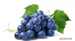 吃葡萄肚子胀气为什么,肚子胀吃葡萄就好了是什么原因