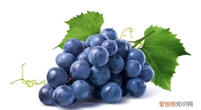 吃葡萄肚子胀气为什么,肚子胀吃葡萄就好了是什么原因