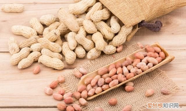 短期内花生价格将延续坚挺走势