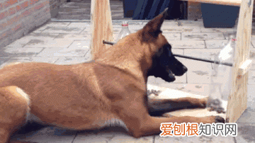 可乐易拉罐瓶底变形还能喝嘛 可乐喝完了瓶子可别扔