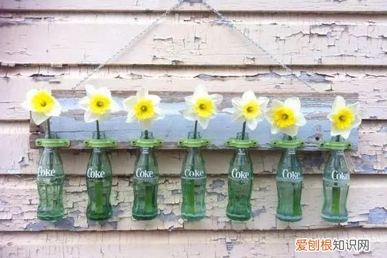 可乐易拉罐瓶底变形还能喝嘛 可乐喝完了瓶子可别扔