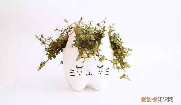 可乐易拉罐瓶底变形还能喝嘛 可乐喝完了瓶子可别扔