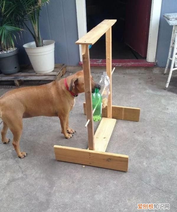 可乐易拉罐瓶底变形还能喝嘛 可乐喝完了瓶子可别扔