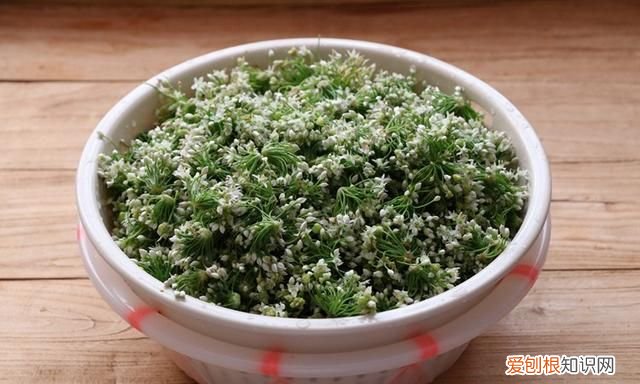 韭菜花这样做能吃一年