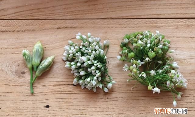 韭菜花这样做能吃一年