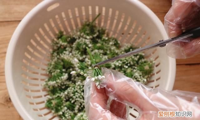 韭菜花这样做能吃一年