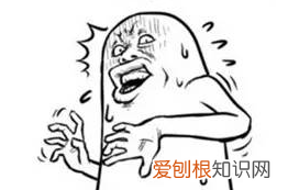 不明小黑虫入侵深圳