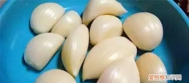 不明小黑虫入侵深圳