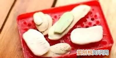 不明小黑虫入侵深圳