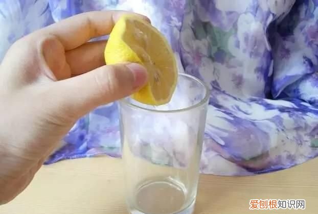 不明小黑虫入侵深圳