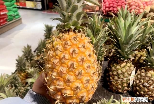 菠萝的吃法盐水泡多久 菠萝不用盐水泡怎么吃