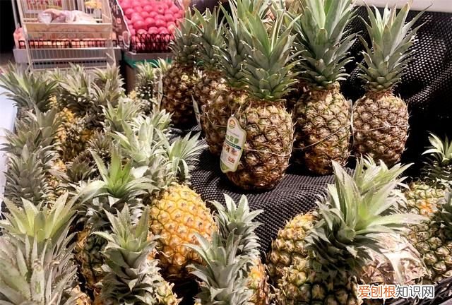菠萝的吃法盐水泡多久 菠萝不用盐水泡怎么吃