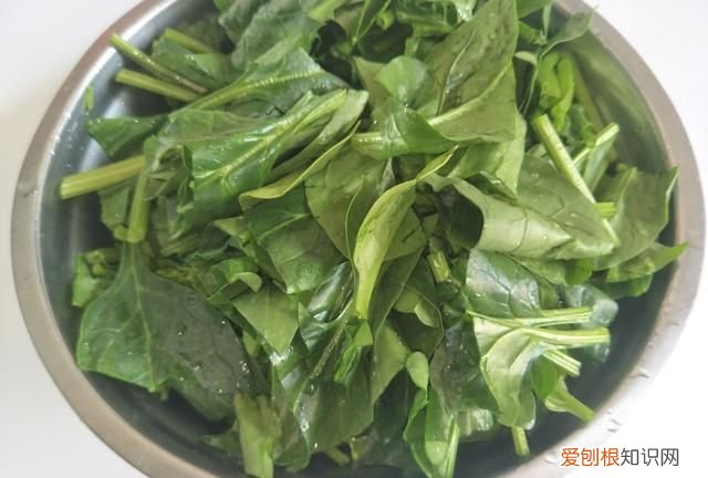 炒菠菜菠菜里面草酸能炒出来吗 菠菜怎么炒又嫩又绿