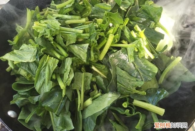 炒菠菜菠菜里面草酸能炒出来吗 菠菜怎么炒又嫩又绿