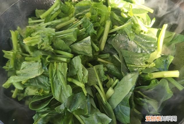 炒菠菜菠菜里面草酸能炒出来吗 菠菜怎么炒又嫩又绿