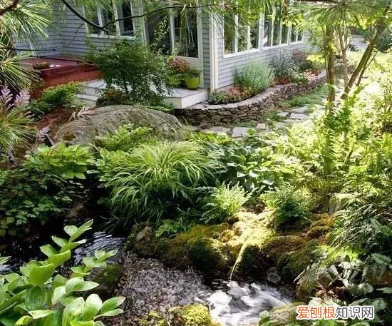 庭院不生苔,庭院养苔的核心秘诀你绝想不到