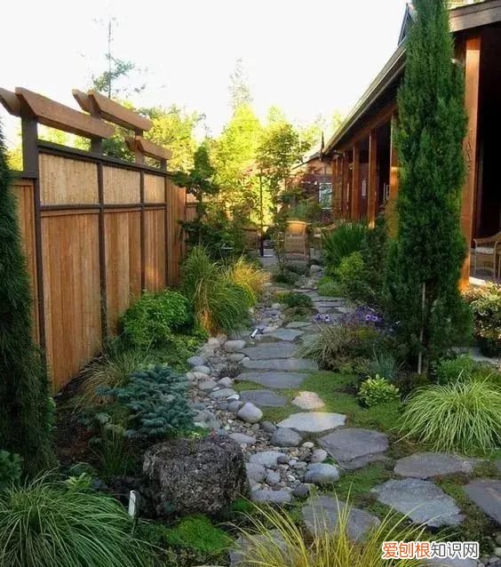 庭院不生苔,庭院养苔的核心秘诀你绝想不到