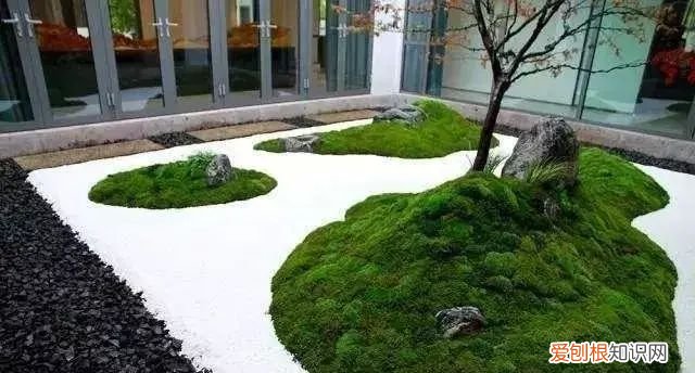 庭院不生苔,庭院养苔的核心秘诀你绝想不到