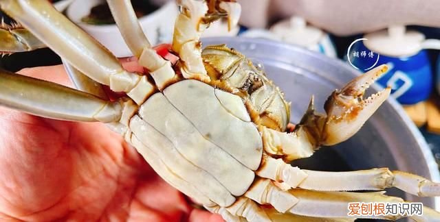 螃蟹拿回来不放冰箱怎么保存 冰箱保存螃蟹的正确方法