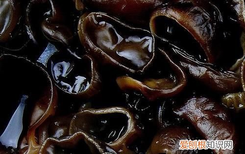 泡木耳用凉水泡好还是用开水泡好