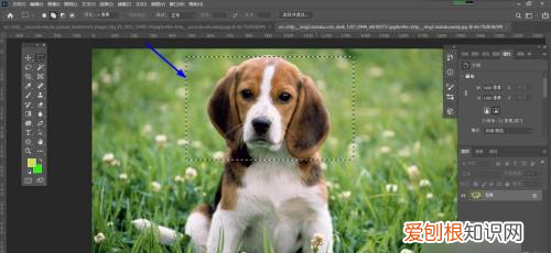 ps反选怎样弄，ps怎么反选选区