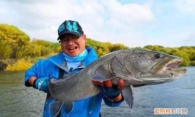 黑龙江名鱼简介:三花五罗十八子七十二杂鱼