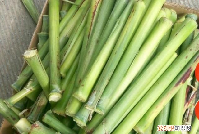 纯高粱拉丝糖水果味的 高粱杆能吃的那种叫什么名字