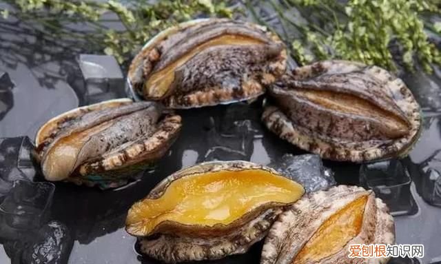 新鲜的海鲜怎么弄最好 海鲜怎么洗才干净?