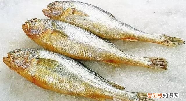 新鲜的海鲜怎么弄最好 海鲜怎么洗才干净?