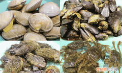 新鲜的海鲜怎么弄最好 海鲜怎么洗才干净?