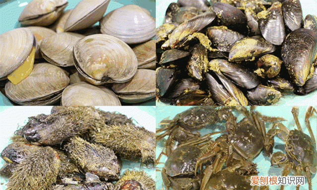 新鲜的海鲜怎么弄最好 海鲜怎么洗才干净?