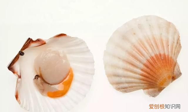 新鲜的海鲜怎么弄最好 海鲜怎么洗才干净?